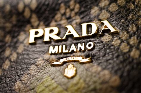 prada morte|why did prada die.